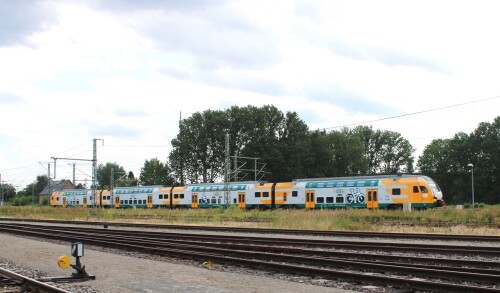BR 445 446 Stadler Kiss ODEG Ostdeutschen Eisenbahngesellschaft Willke Gleisbau Ludwigslust 2025 Jun