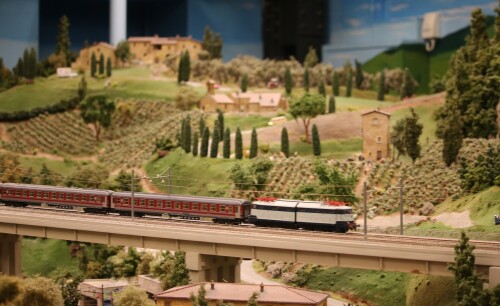 Miwula_Miniaturwunderland_FS_Italien_Italy_Gauge_1-87_Ferrovia_italia-13f.jpg
