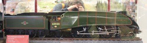 BR_British_Railway_golden_eagle_green_grun_Steamlocomotive_Stromlinienlokomotive_A4_Spur_2_Museum_Schramberg.jpg
