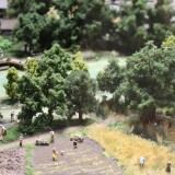 be_Fruhes_Mittelalter_Landwirtschaft_deutsche_Geschichte_Miniaturwunderland_Hamburg-1