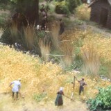 be_Fruhes_Mittelalter_Landwirtschaft_deutsche_Geschichte_Miniaturwunderland_Hamburg-3