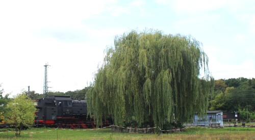 DB Museum Koblenz Drehscheibe (5)