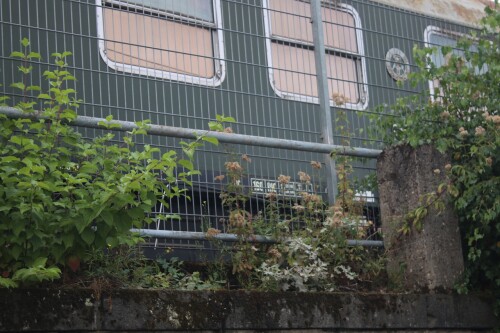 DR DDR Salonwagen Regierungszug DB Museum Koblenz (3)