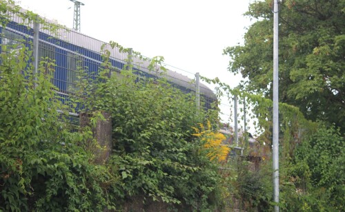 DB Vig4üe Ffm Salonwagen DB Museum Koblenz (1)