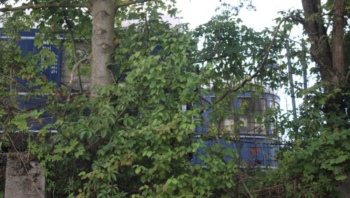 DB Vig4üe Ffm WGüg 827 AB4üe 385054 F Zug blauer Enzian Salonwagen DB Museum Koblenz (1)