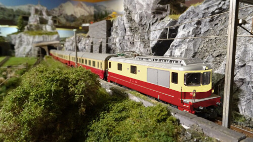 AE 6 8 BLS TEE Milano rot Trans Europ Express (1)