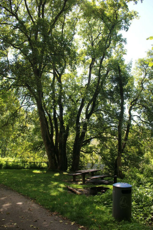 Donauversinkung Viadukt Eisenbahn Brücke Tuttlingen 2025 08 (42)
