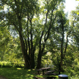 Donauversinkung_Viadukt_Eisenbahn_Brucke_Tuttlingen_2025_08-42