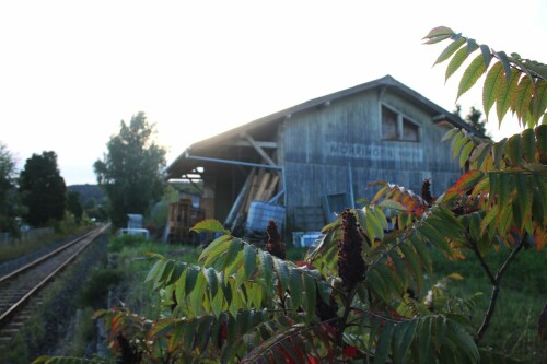 Möhringen Bahnhof Holz Lokschuppen 2025 09 (3)