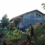 Mohringen_Bahnhof_Holz_Lokschuppen_2025_09-3