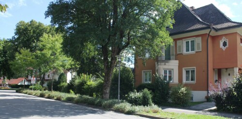 Möhringen Bahnhof Stadt DB Regio 2025 09 (1)