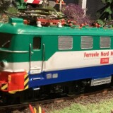 E_10_BR_110_ferrovie_Nord_Milano_BR_218_Hampi61-2