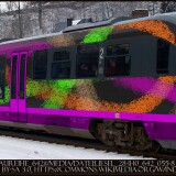 BR_642_VT_642_DB_Regio_Siemens_Desiro_Classic_Die_Bahn_AG_Deutsche_Bundesbahn-7---Kopie