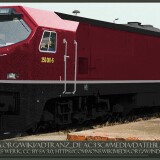 BR_250_Blue_tiger_ADtranz_DE-AC33C_Prototyp_Epoche_3_purpurrot-1---Kopie