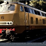 BR_218_V_160_n_FS_Ferrovie_dello_Stato_braun_ferrovia-2