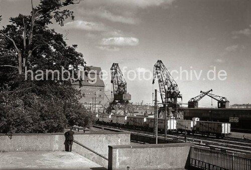 1955-Altona-Hafen.jpg
