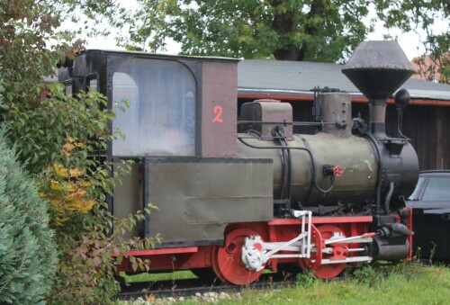Schmalspur_Dampflok_600mm_BW_Nordlingen_bayrisches_Eisenbahnmuseum-1.jpg