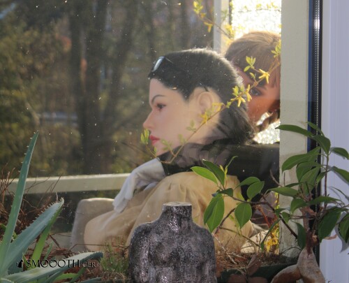 IMG f (1 (5)